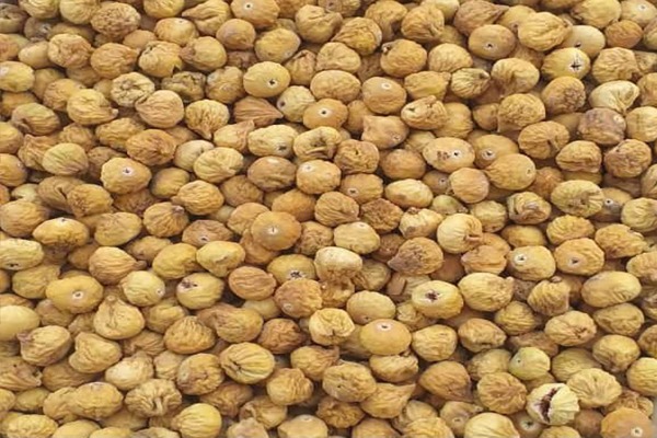 فروش انجیر پرسی درجه یک + قیمت خرید به صرفه